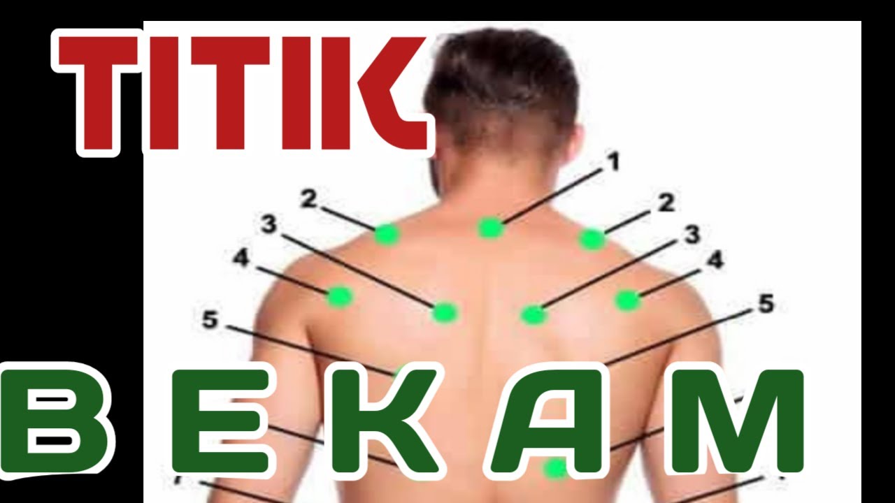 BELAJAR SUNNAH 4 I Titik Bekam Dasar