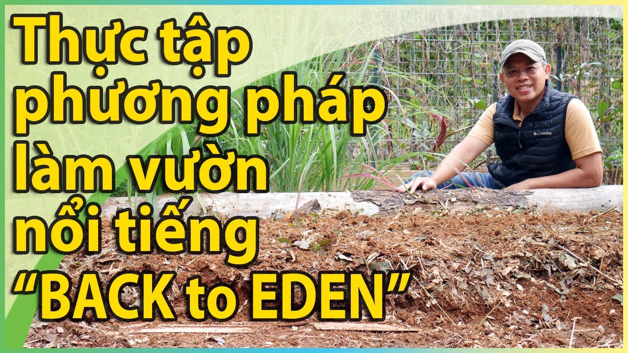 Thực tập phương pháp làm vườn nổi tiếng “Back to Eden” - Trở về vườn Địa Đàng