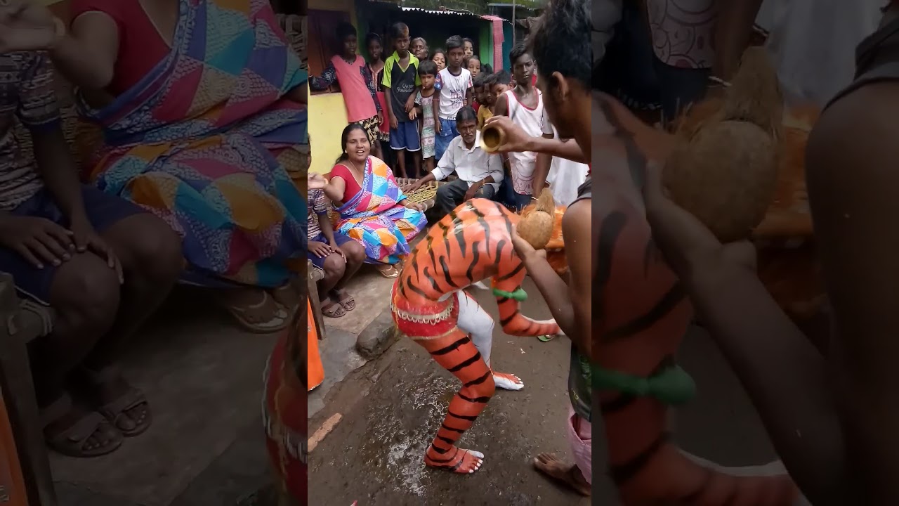 Dhatkidih harijan basti (arjun mukhi 🐯)