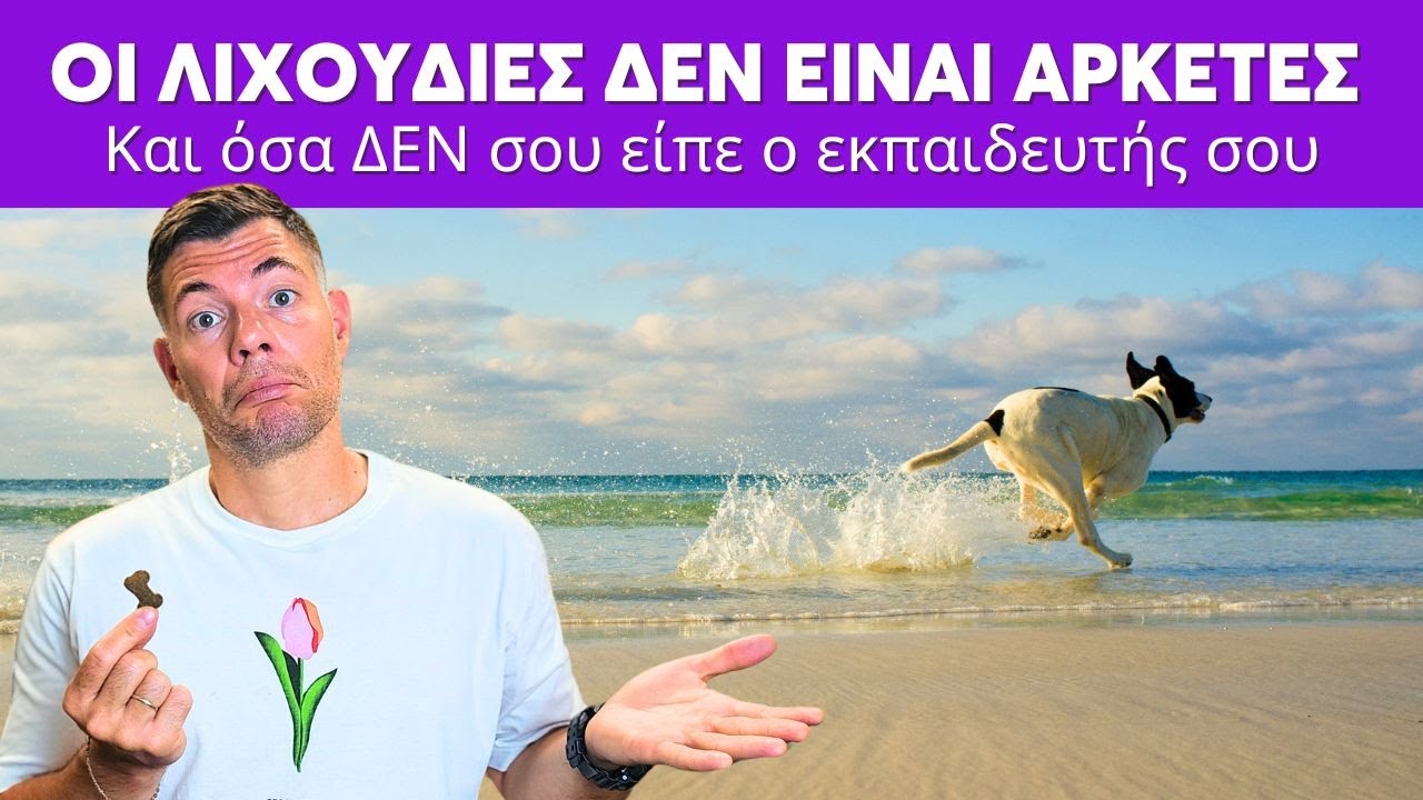 Γιατί ο σκύλος σου ΔΕΝ σε ακούει (& όσα ΔΕΝ σου είπε ο εκπαιδευτής σου)