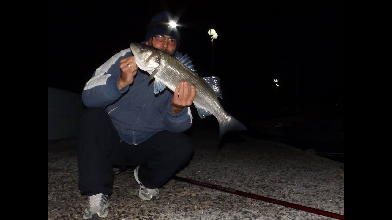 Παράμαλλο στην  match fishing τεχνική με δύο αγκίστρια για το ψάρεμα λαβράκι