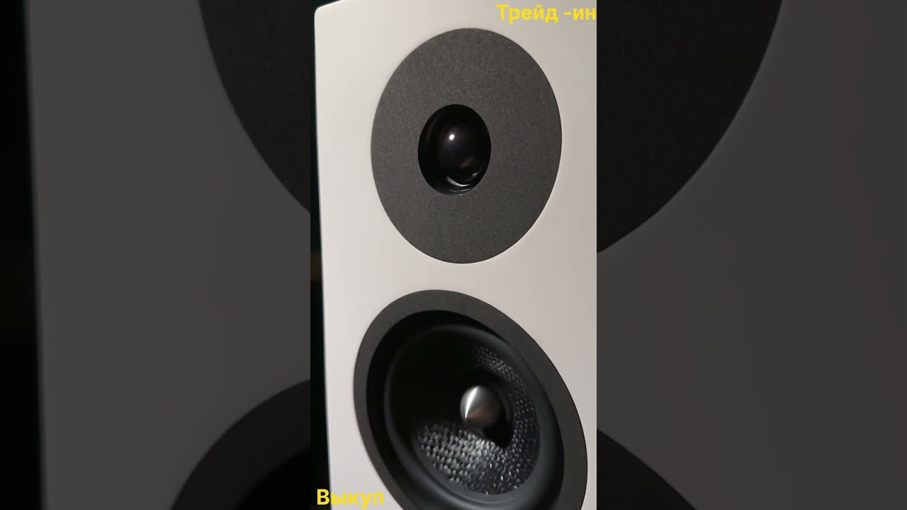 Распаковка напольная акустика davis acoustics krypton 9 #davis #домашнийкинозал  #hifi #unboxing
