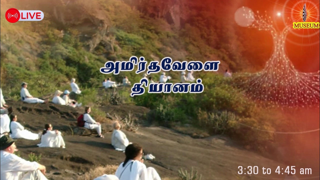 19.02.2026| Amirtha vela Yoga | LIVE Meditation | அமிர்தவேளை தியானம் ....