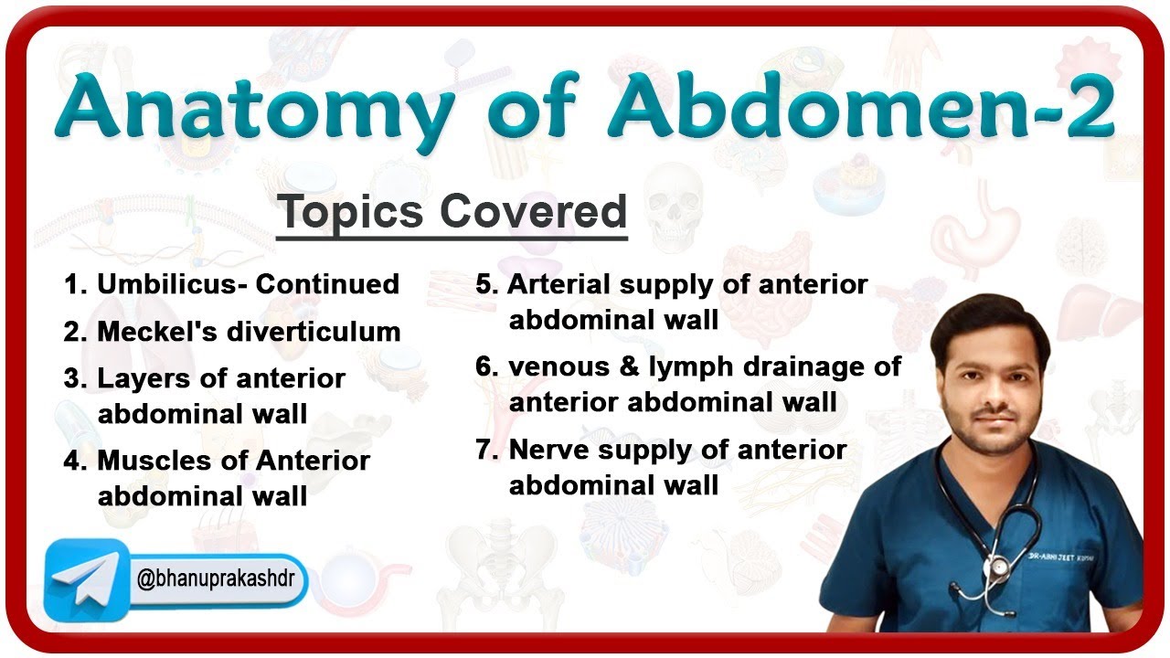 🕵️‍♂️ Anatomy Of Abdomen (Part - 2) : Umbilicus, meckel's diverticulum, Anterior abdominal wall 🌟💡