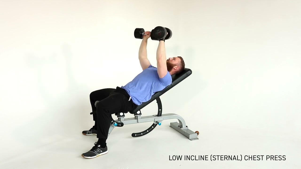 Low Incline DB Chest Press | PhysiqueDevelopment.com