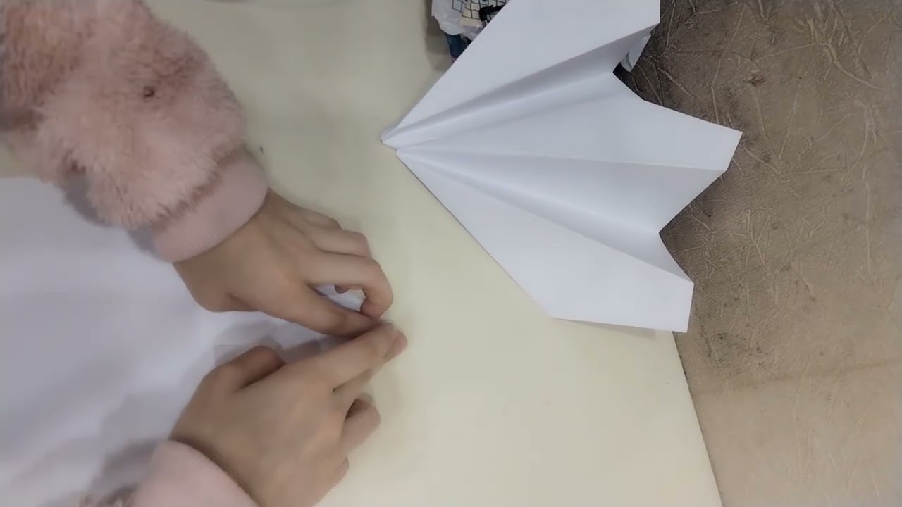 как делать сомолёт