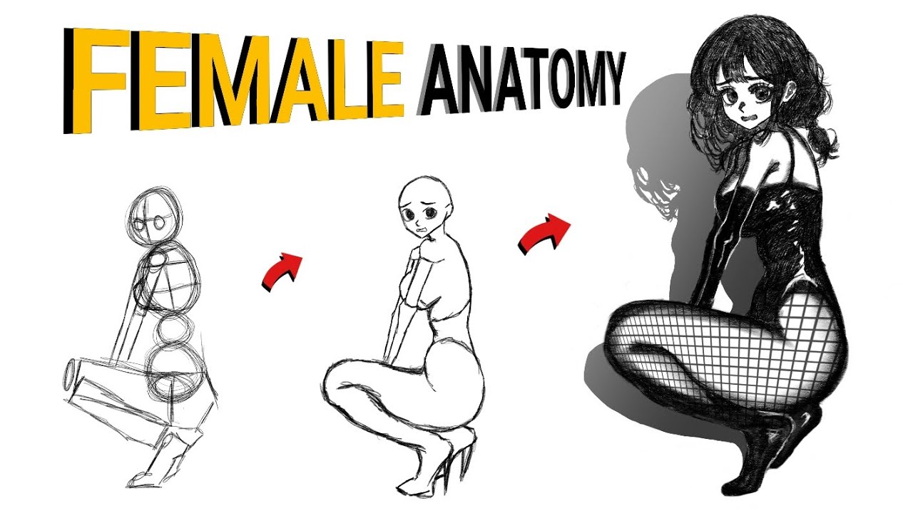 How to Draw Anime Girl ANATOMY Step by Step || Female Sketching