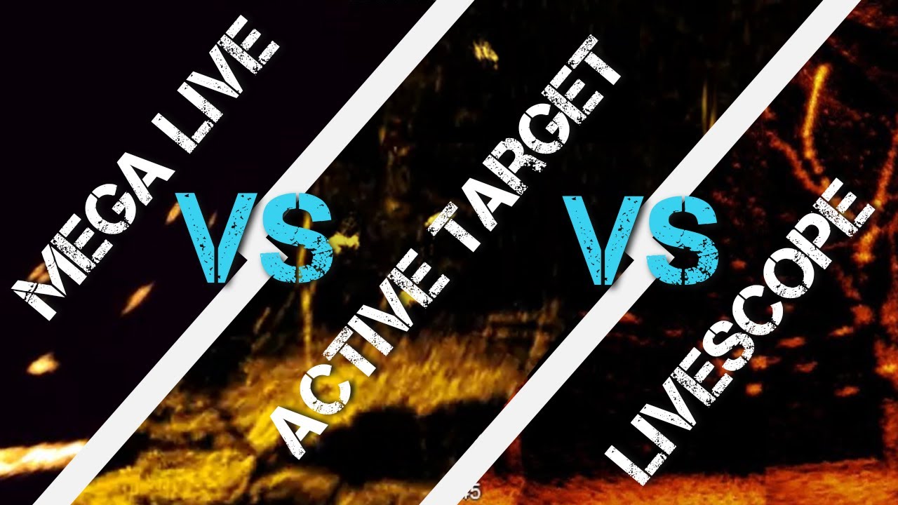 LiveScope, Mega Live и Active Target — какой из них выбрать?