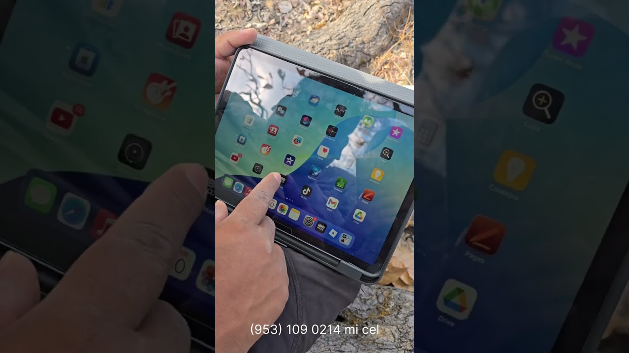 Asi funciona el internet Starlink en Oaxaca/ trabajando en la publicidad de Elonk Mos