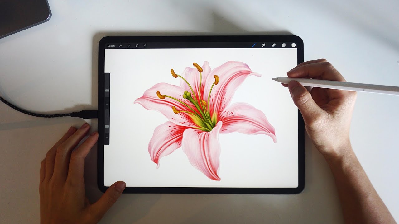 วาดไปเรื่อยๆ : วาดดอกลิลลี่ ด้วย iPad Pro และแอพ Procreate โดย Freya.art / Relaxing Drawing scene