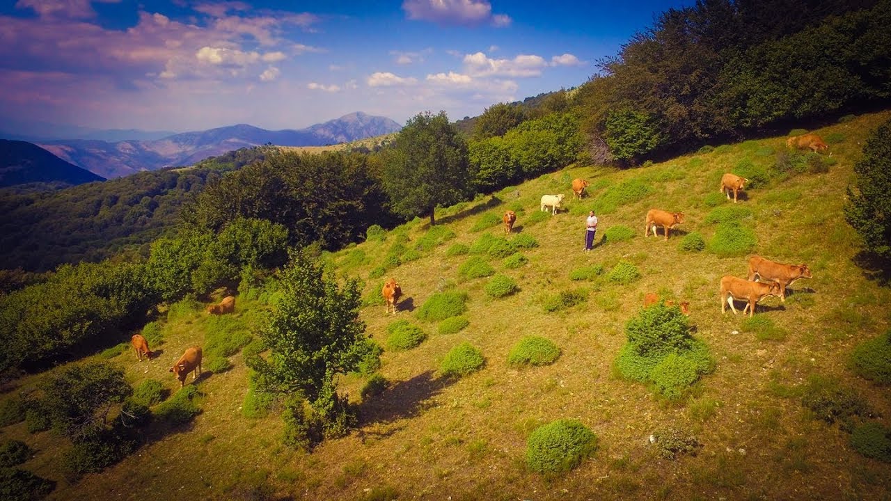 Μενοίκιο Σερρών , βόλτα απο ψηλά/ Mount Menikio Greece, DJI DRONE
