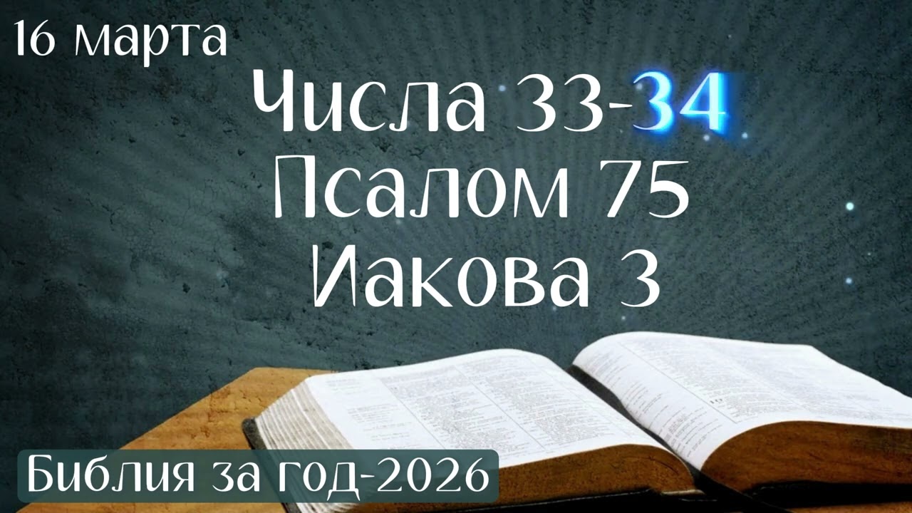 16 марта. Марафон 