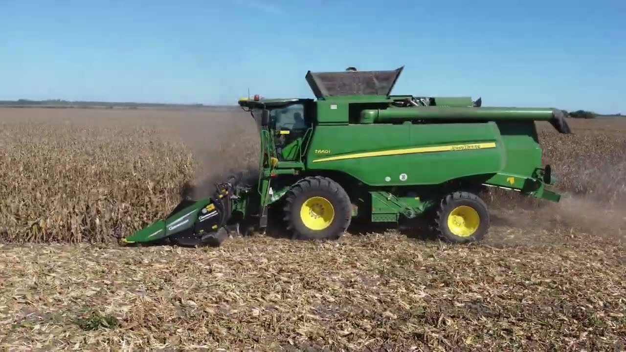 Őszi aratás (MTZ + 4x John Deere)