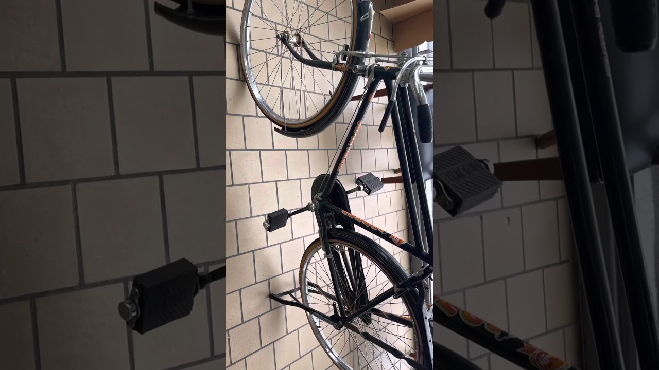 Cycle sohrab