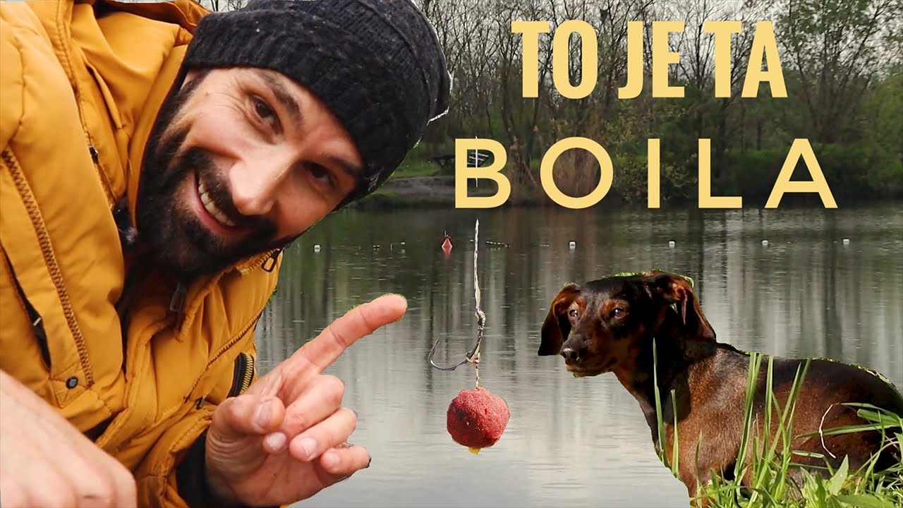 Kasapska Ada - Koja boila , koji pop up