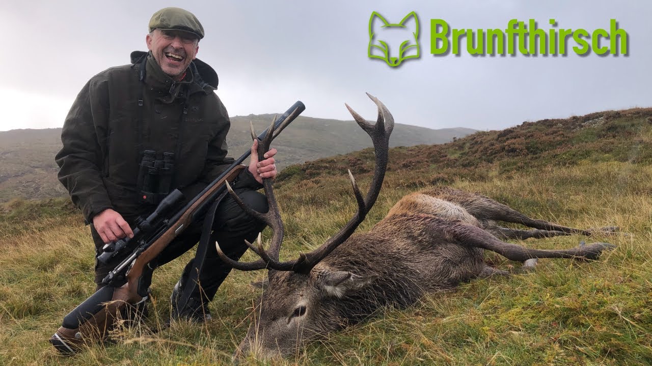 Auf den Brunfthirsch in den Schottischen Highlands