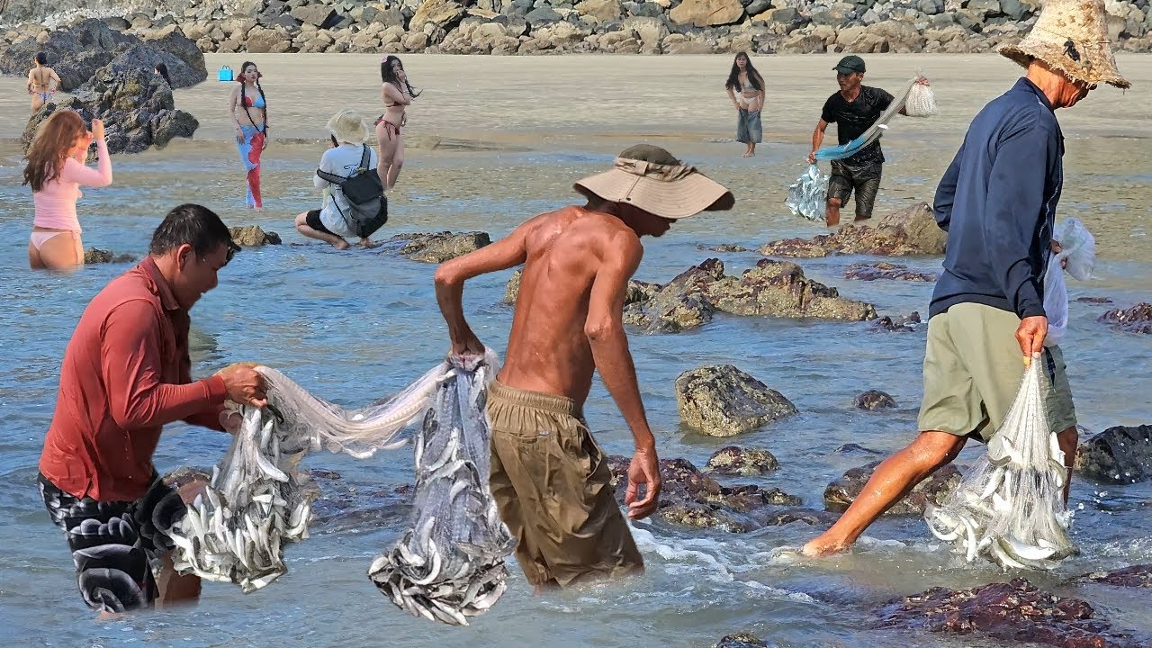 Các Chú Chài Cá Bất Ngờ May Mắn - Tung Chài Thành Công Những Đàn Cá Đối Lượn Lờ Tại Bãi Tắm Rất đẹp