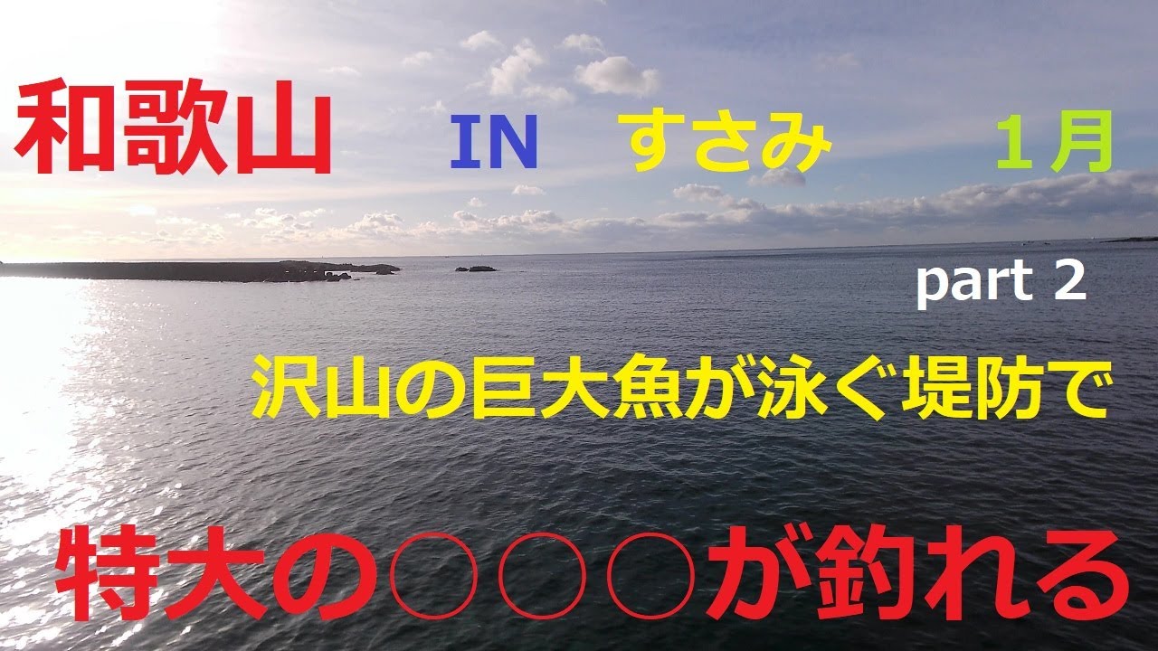 和歌山　すさみ　巨大魚の泳ぐ堤防で特大の○○○が釣れる