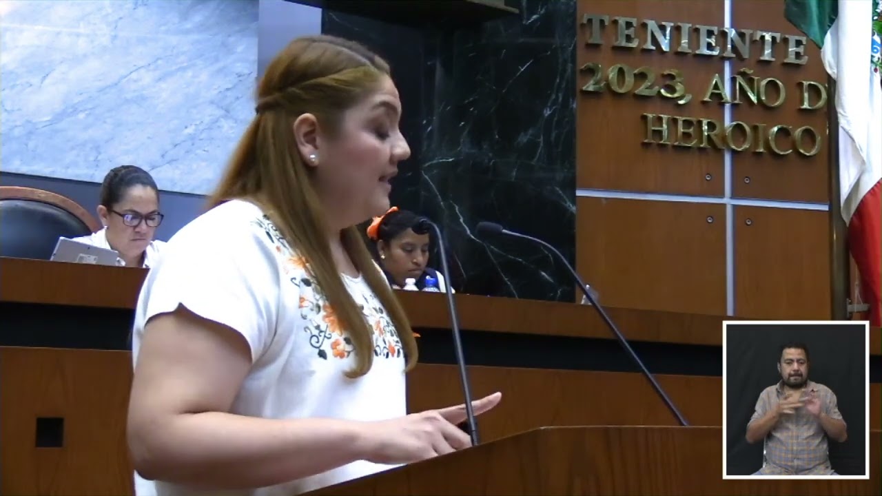 Intervención de Erika Isabel Guillén Román en comparecencia de la Secretaría de Salud Guerrero