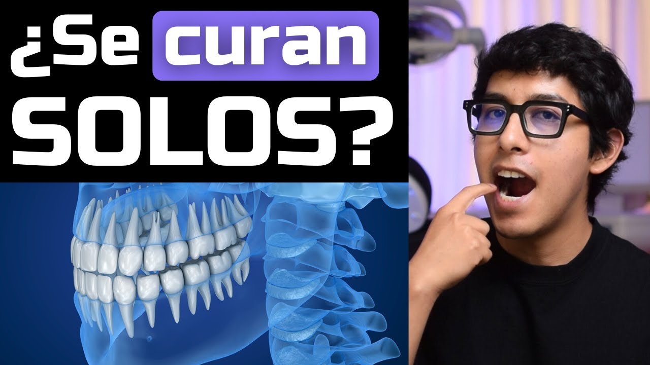 ¿Pueden regenerarse los dientes? La respuesta te sorprenderá