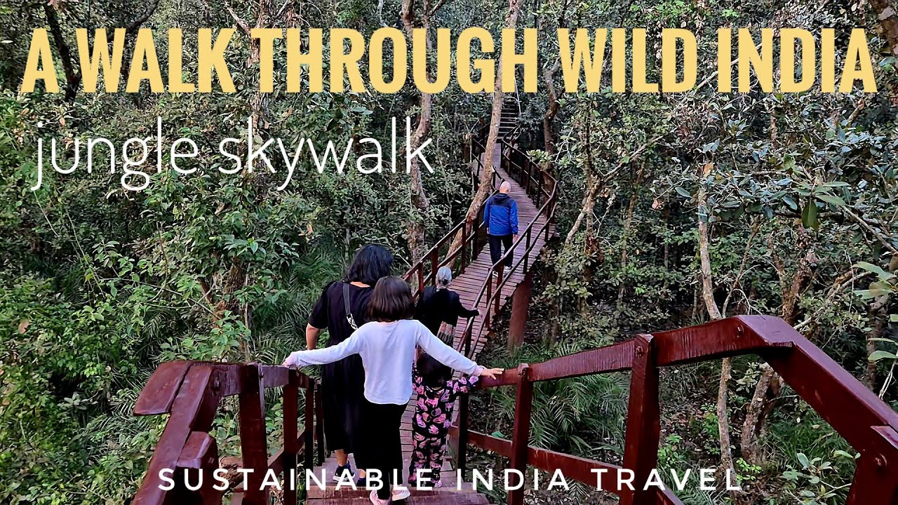 Walking Through the Wild: Wooden Skywalk in Mangrove Forest (Ep-3) | Eco Wonders of India