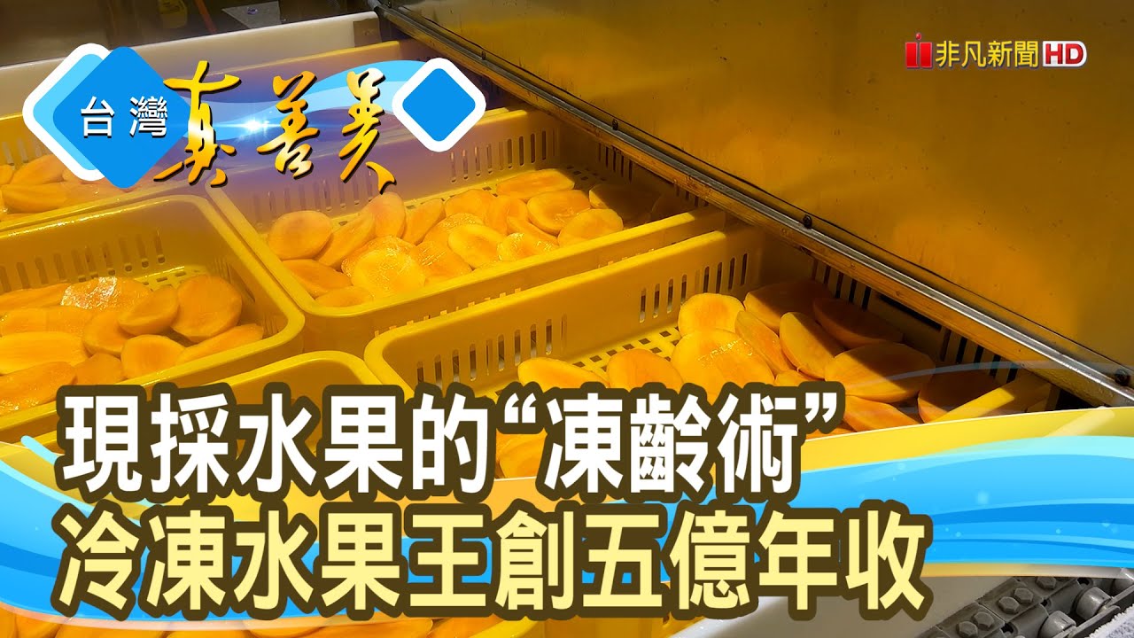 逆境崛起的“冷凍水果王”｜冠南生物科技有限公司｜【台灣真善美】2024.08.18
