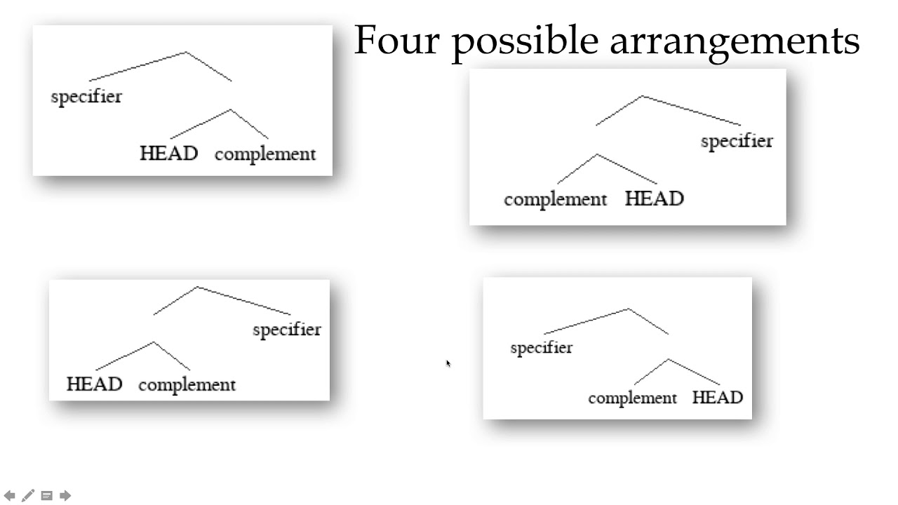 Complements specifiers arguments and adjuncts