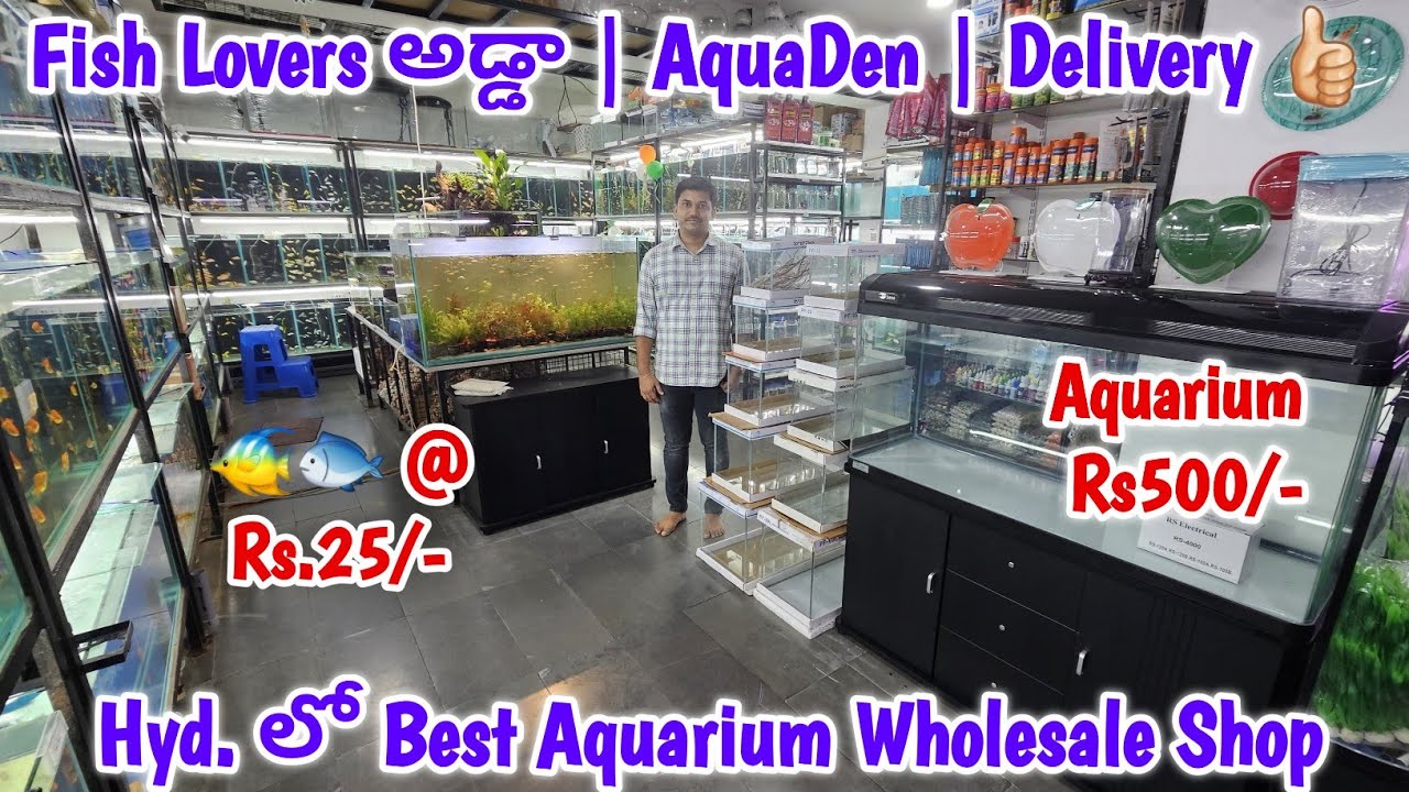 Fish Lovers అడ్డా | Fishes, Fish Tanks & All Aquarium Accessories అత్యంత తక్కువ ధరలో | Delivery 👍🏻