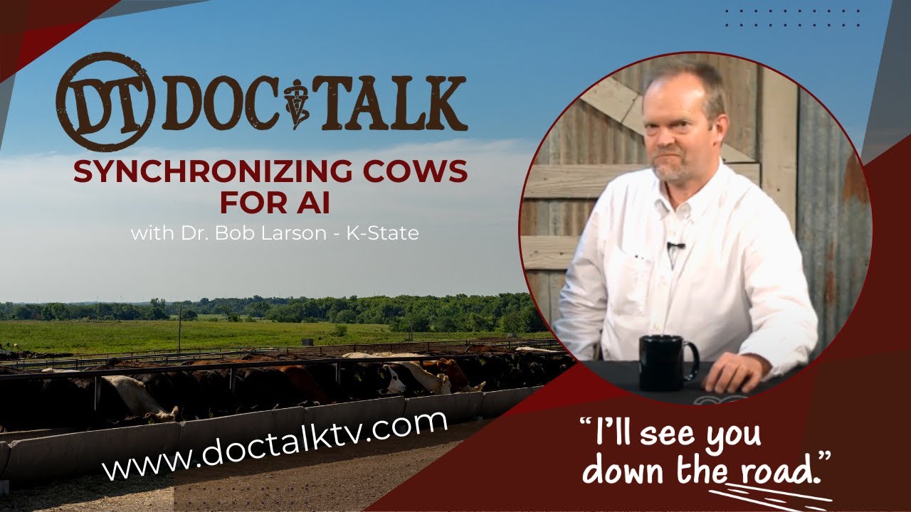 DocTalk Ep 159 - Synchronizing Cows for AI
