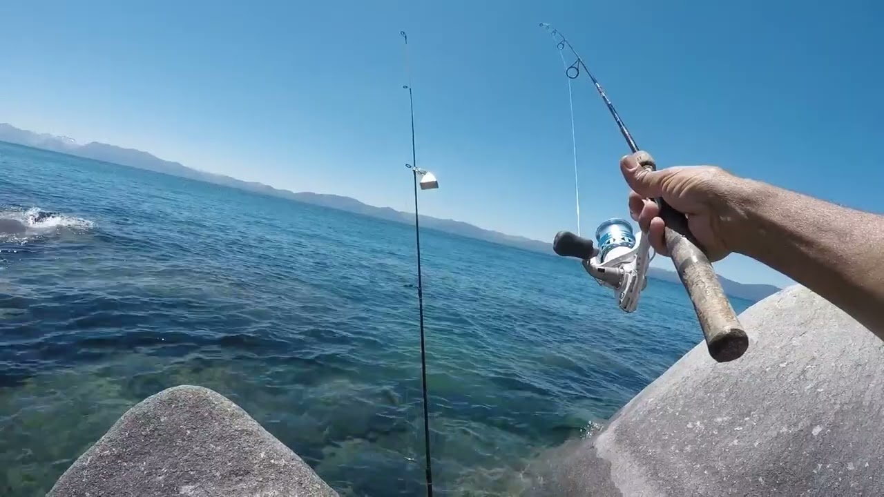 Rainbows Just Good Enough for Dinner at Mid Summer Lake Tahoe
