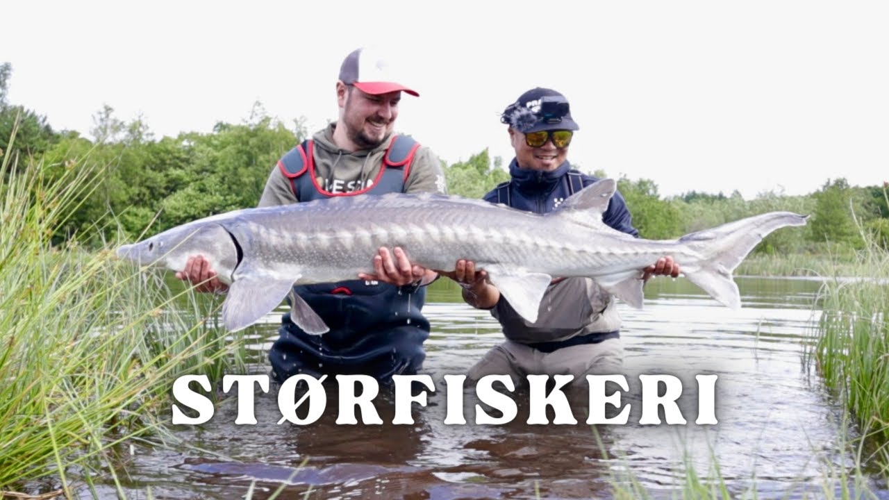 Stør fiskeri, sammen med Rasmus, Han er en rigtig god guide.
