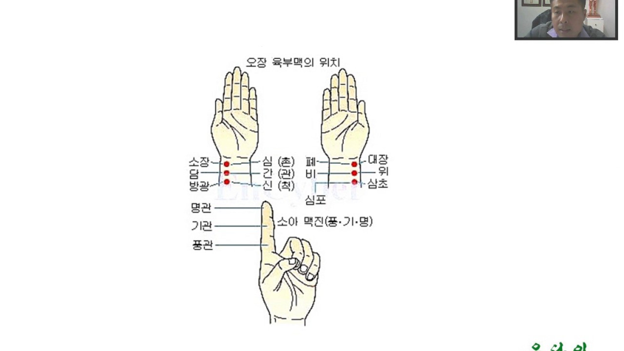 4 진단론