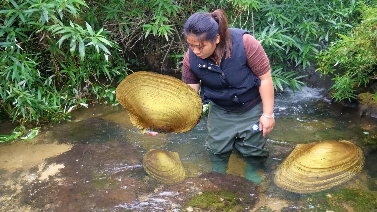I obtained my first fortune in 2024, extracting extraordinary pearls from golden clams