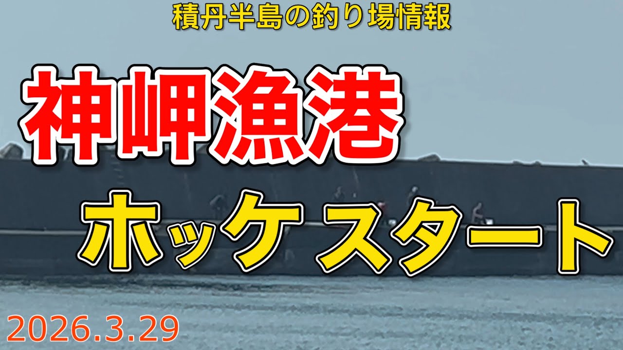 神崎漁港ホッケスタート【積丹半島の釣り場情報　2026.3.29】