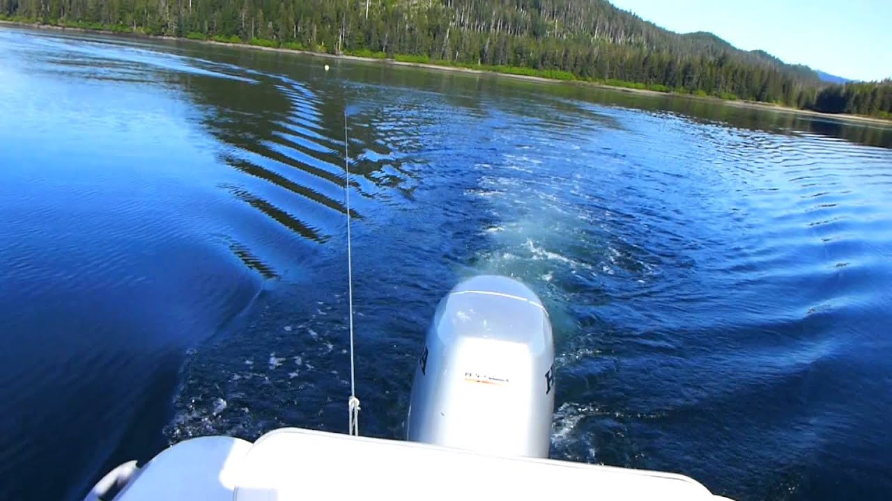 Pulling a Prawn Trap
