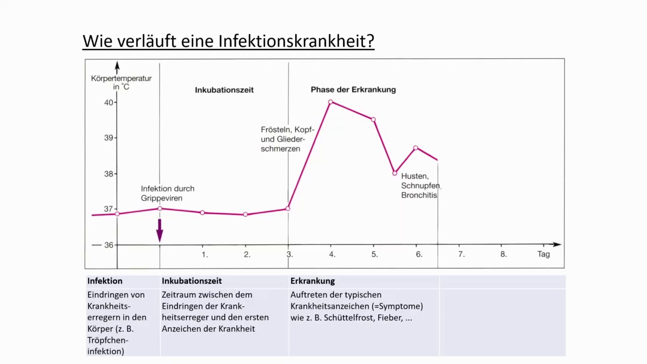 Verlauf einer Infektionskrankheit