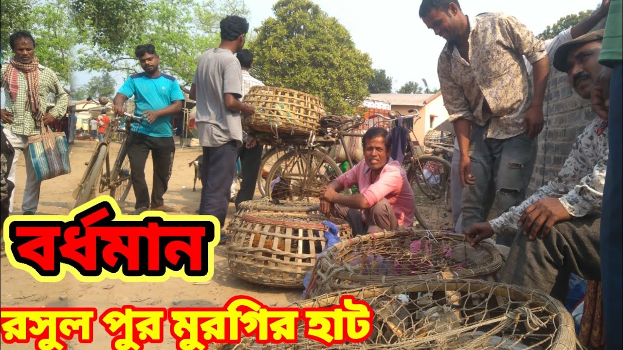রসুল পুর হাঁস মুরগির হাট | বর্ধমান হাঁস মুরগির হাট | রসুলপুর বাজার | রসুলপুর দলুই বাজার বর্ধমান