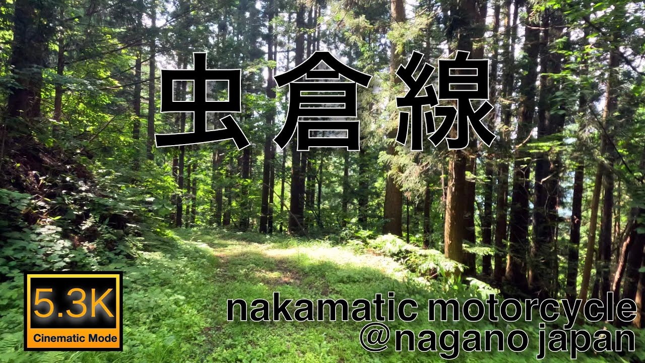 #228     長野県長野市林道ファイル［虫倉線］