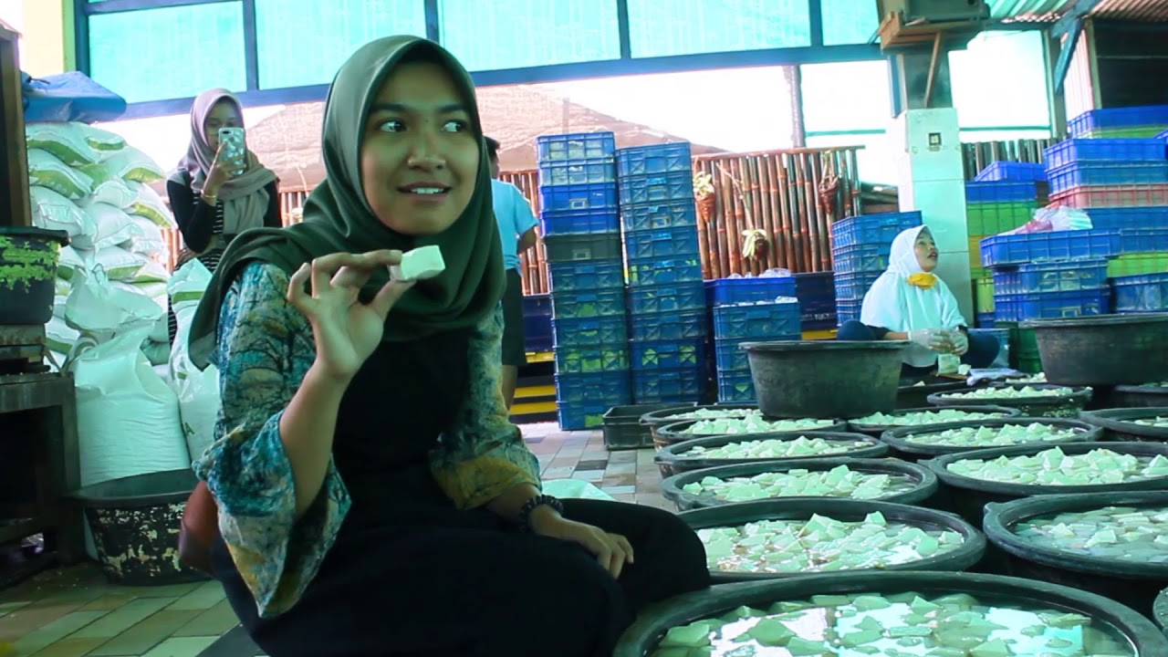PROSES PEMBUATAN TAHU SEHAT SARI | PART 3