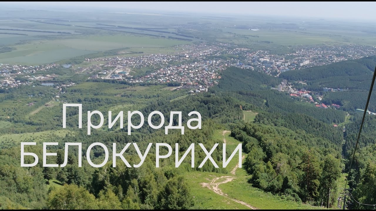 Прогулка по теренкуру. Включите субтитры чтобы увидеть названия. г. Белокуриха. Алтайский край.