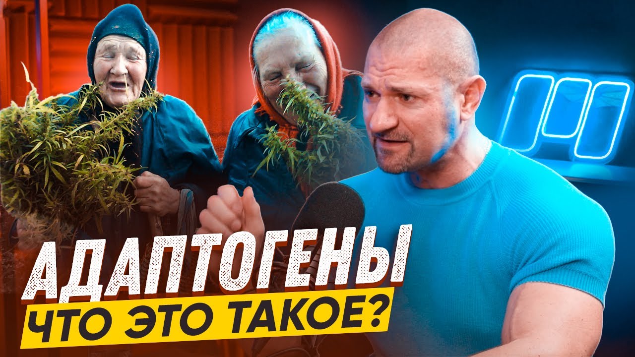 АДАПТОГЕНЫ. ЧТО ЭТО ТАКОЕ? Яковина