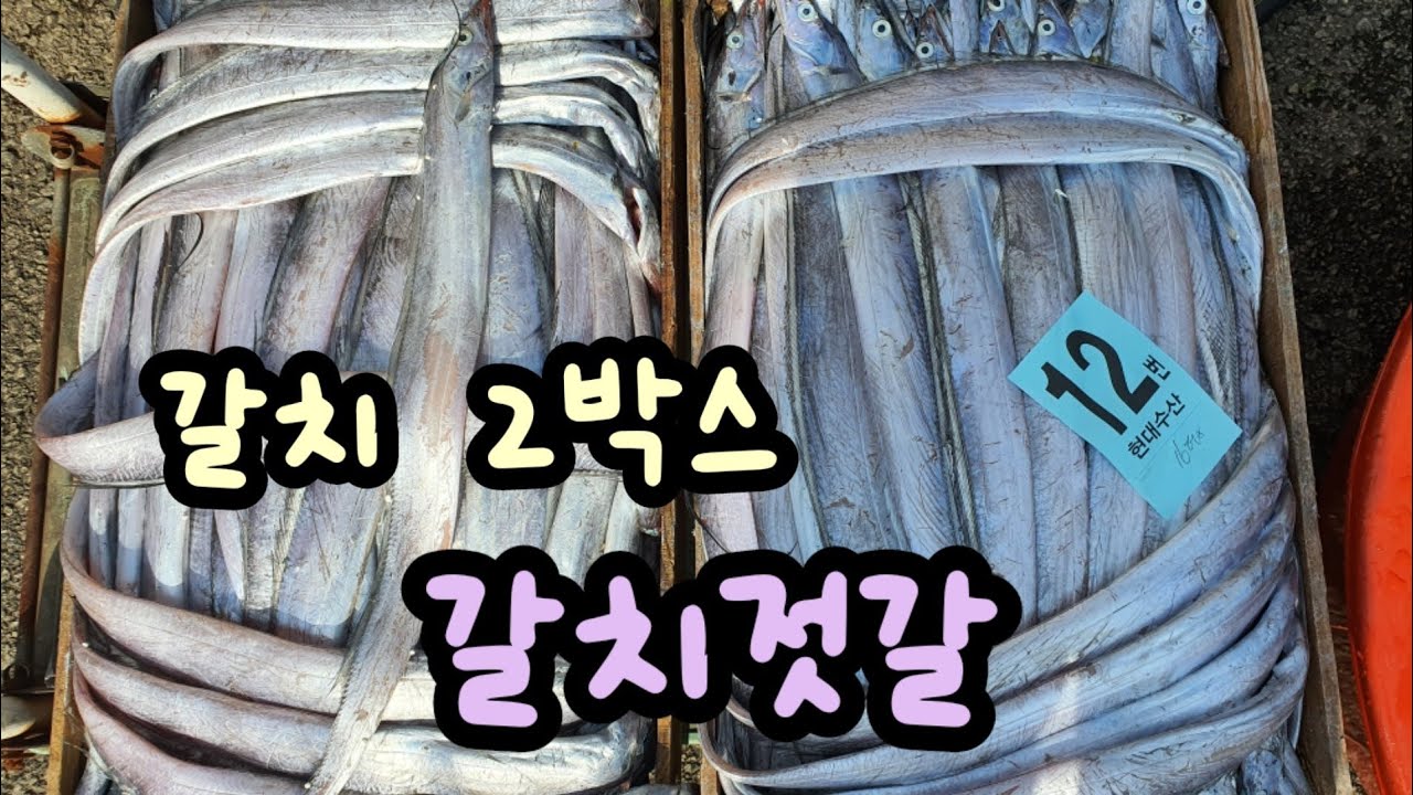 갈치젓갈 2박스