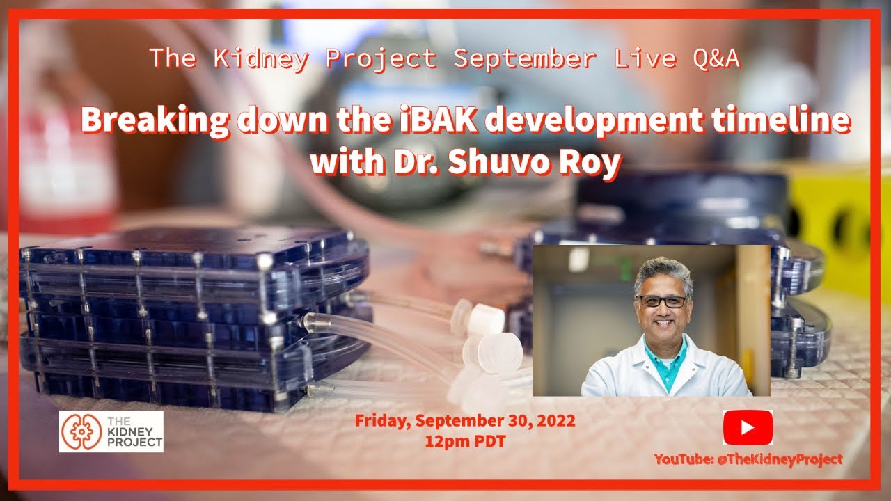 Live Q&A #9: Breaking down the iBAK development timeline (9.30.22)