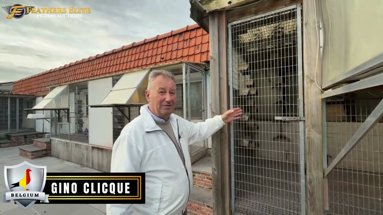 Inside the Lofts of Belgian Champion Gino Clicque