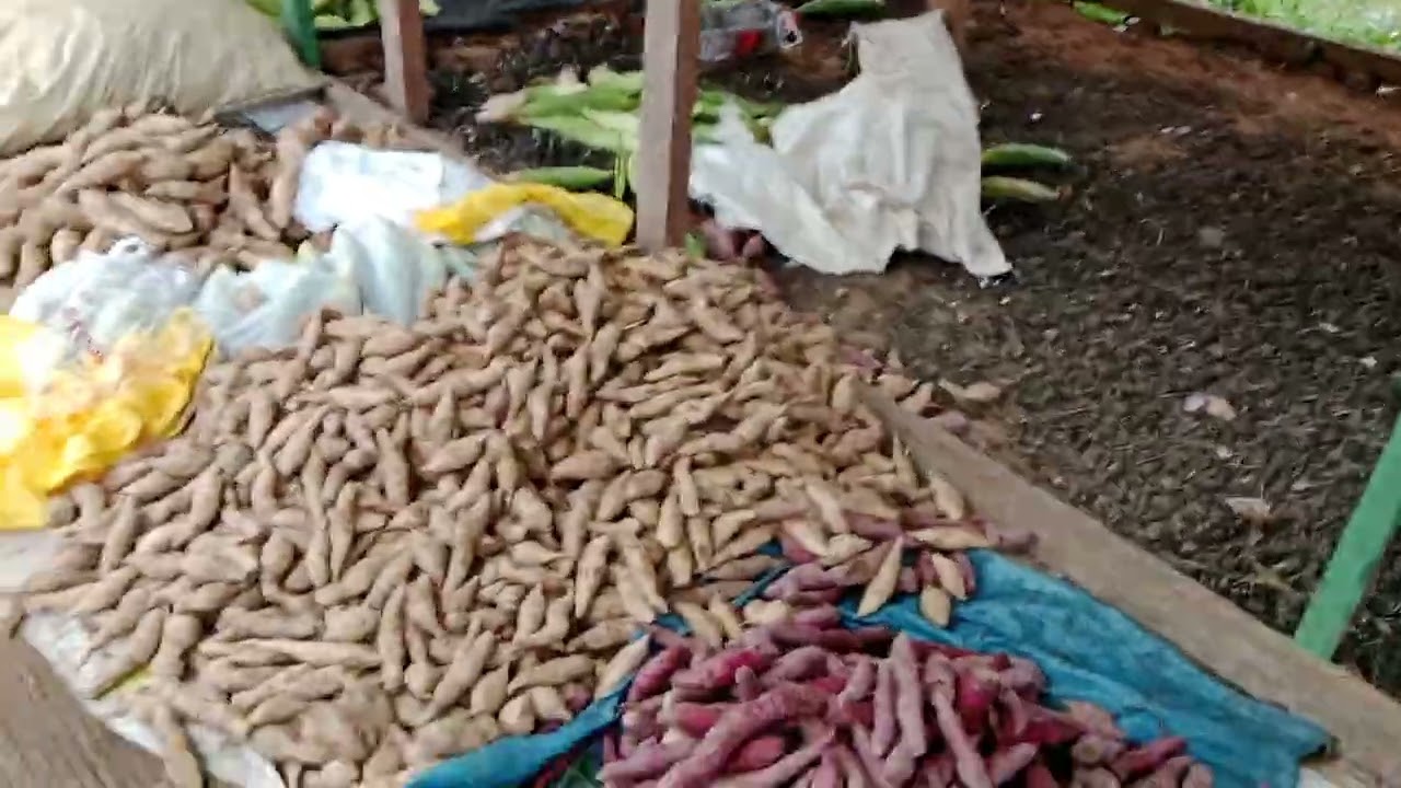 Pili lang kayo 