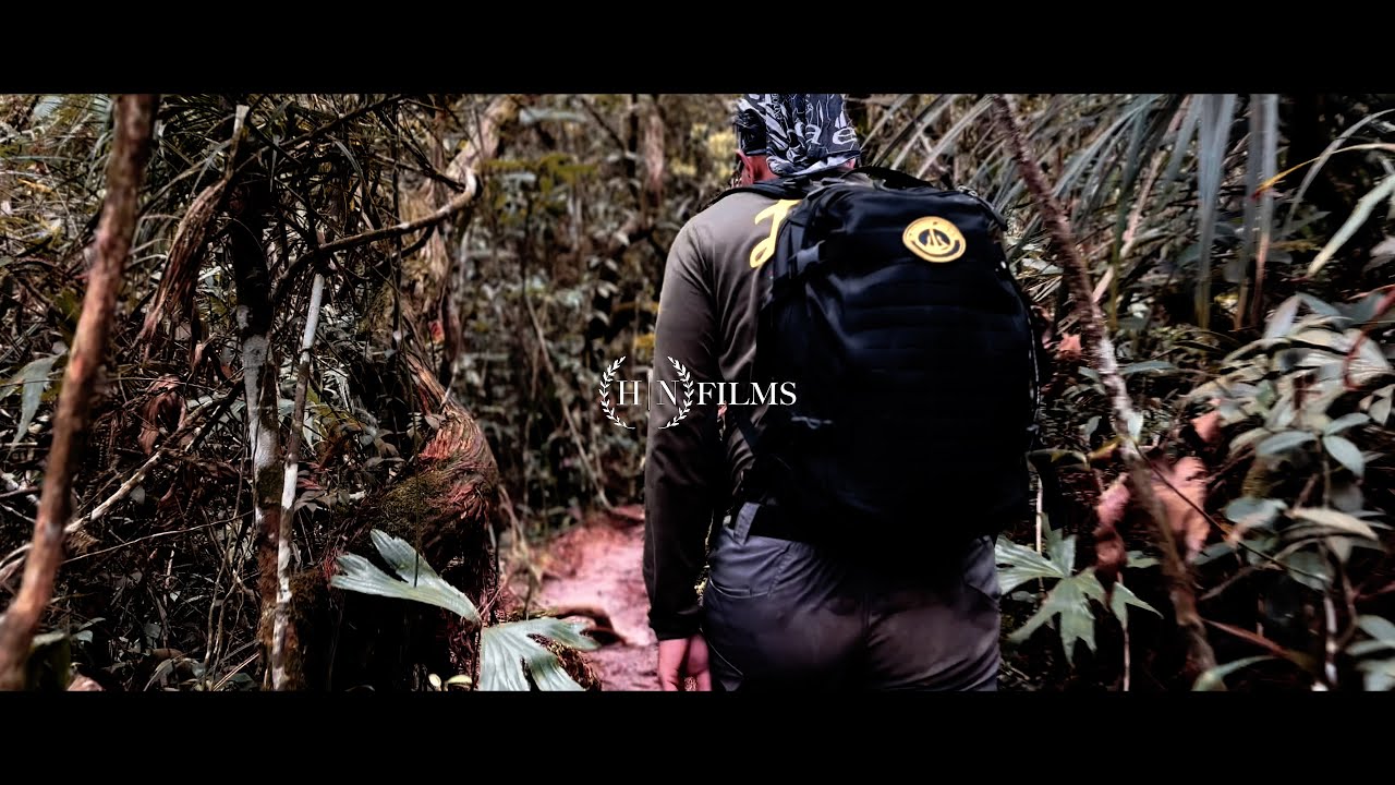 Mountain Hiking @ Gunung Ledang Johor | Malaysia | 4K