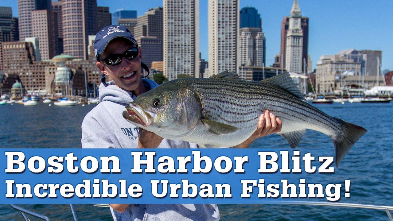 Boston Harbor Blitz | Incredible Urban Fishing!