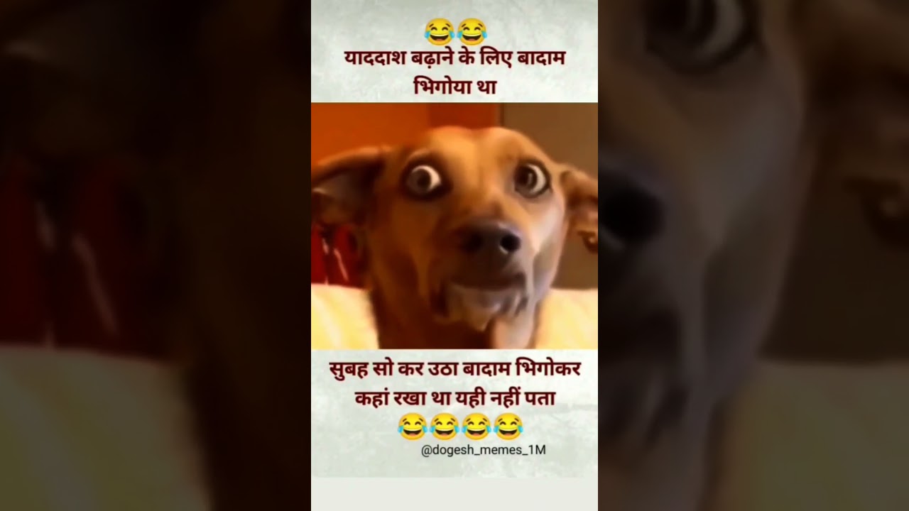 #dogesh bhai ka funny viral video 🤣#like comment and subscribe @dogesh_memes_1M
