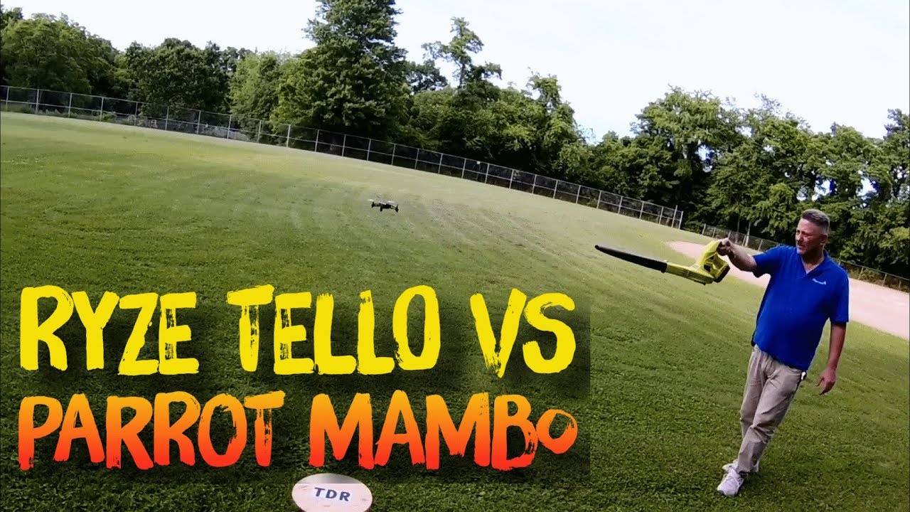 Ryze Tello vs Parrot Mambo Wind Test
