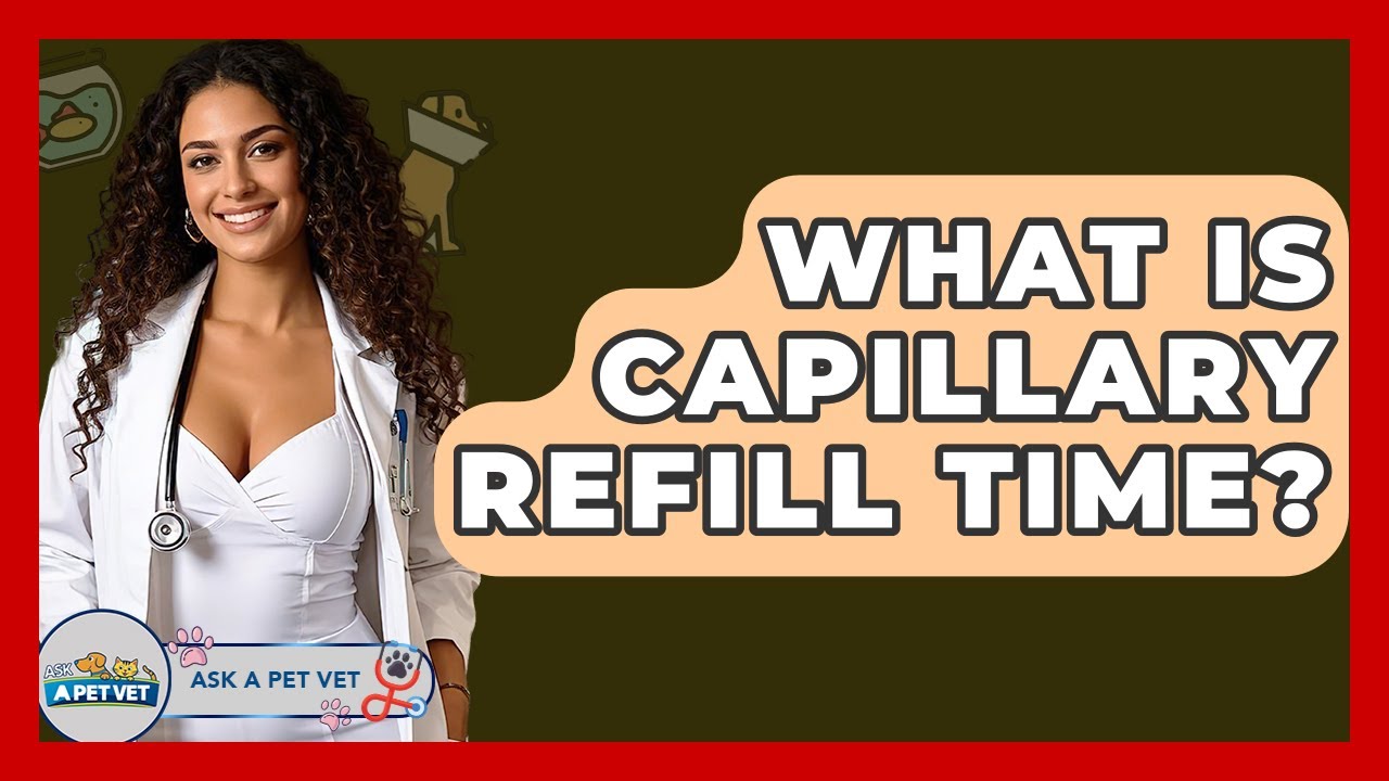 What Is Capillary Refill Time? - Ask A Pet Vet